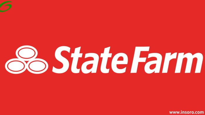 Seguros state farm