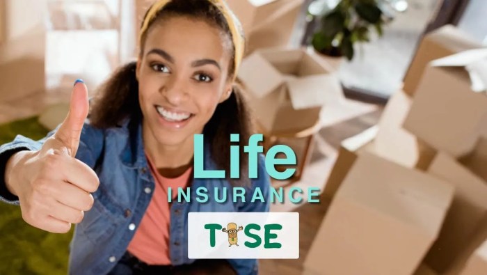 Life insurance