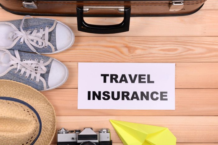 Best Travel Insurance for Your Next Trip